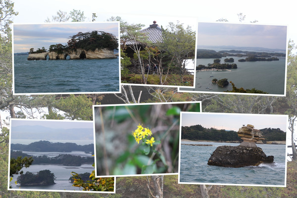 日本三景の「松島」/癒し憩い画像データベース