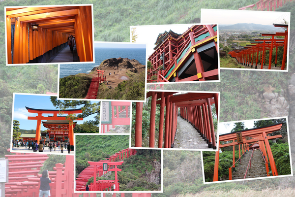日本各地の稲荷神社と多数並ぶ赤い鳥居群