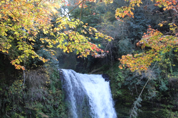 木枝の秋と滝