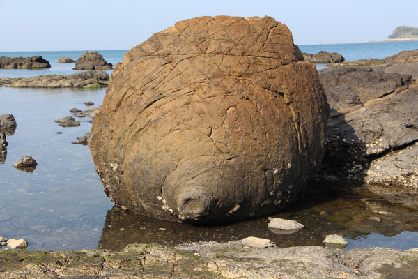 ŷ��δ��֤��äѤ����/�����Ƥ������ǡ����١���