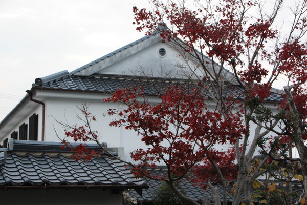 ���ܡ����βС־�����¢���ɷ���/�����Ƥ������ǡ����١���