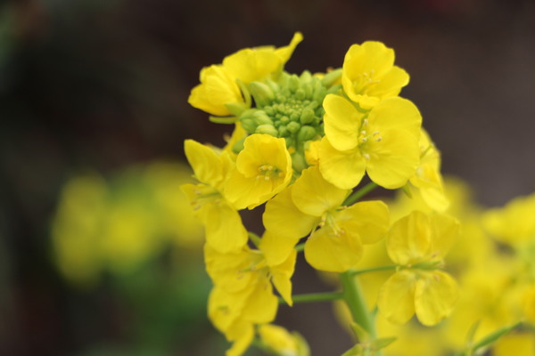 ���֤��ʤ���ʥΥϥ�/�����Ƥ������ǡ����١���