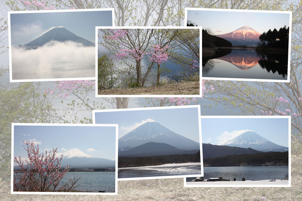 山麓の湖群から見た富士山