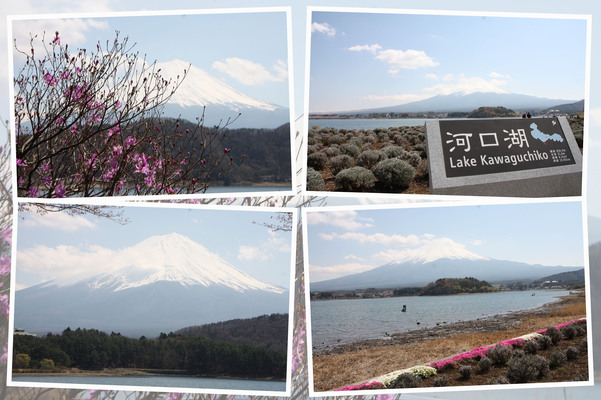 河口湖と富士山