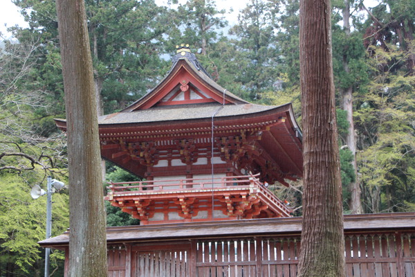 �����������Ҥ�ϰ���/�����Ƥ������ǡ����١���