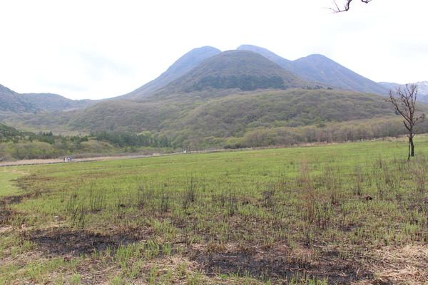 春の「タデ原湿原と奥の三俣山」