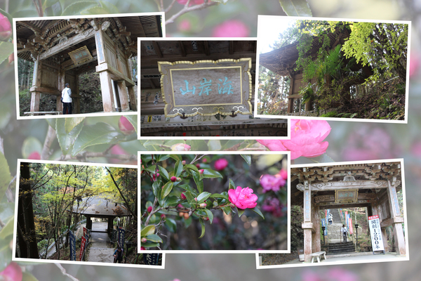秋の岩屋寺「山門と参道」/癒し憩い画像データベース