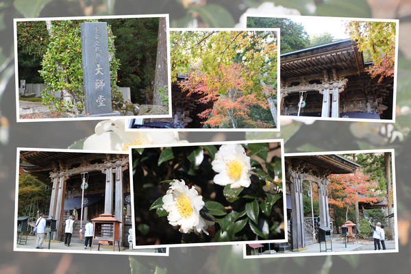 愛媛の岩屋寺「秋の大師堂」/癒し憩い画像データベース