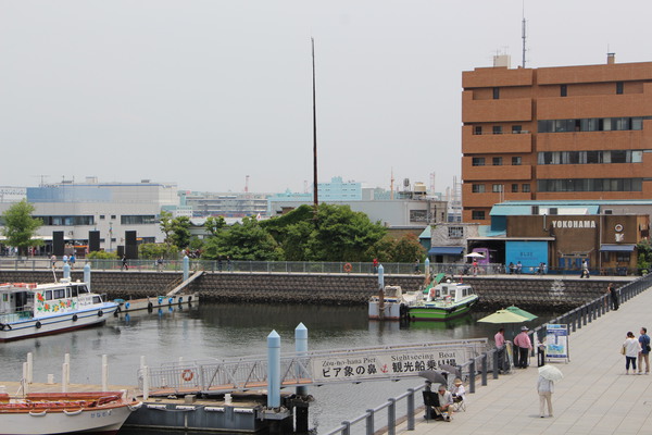 ��Ƥβ��͹������夭���/�����Ƥ������ǡ����١���