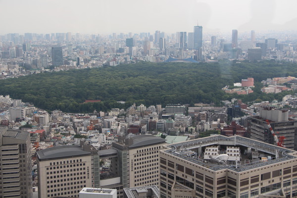東京都庁の展望室から見た新宿中央公園