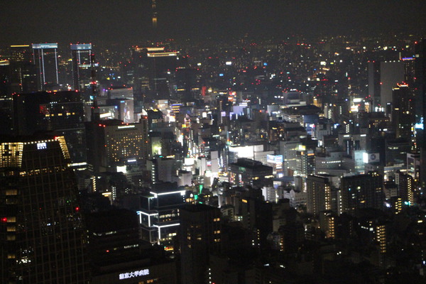 東京タワー展望台から見た夜の市街地/癒し憩い画像データベース
