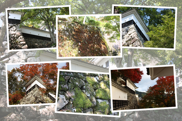 秋と夏の郡上八幡城「櫓と石垣」/癒し憩い画像データベース