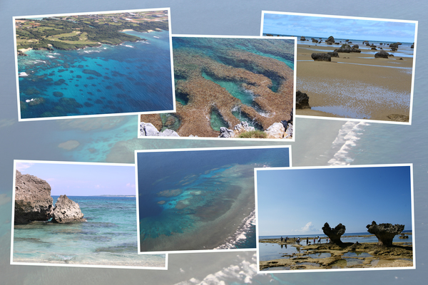 サンゴ礁の海岸と岩 癒し憩い画像データベース