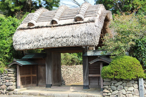 ���������ϼ��Ȳ��ߡֳ��������粰������ʽ��/�����Ƥ������ǡ����١���