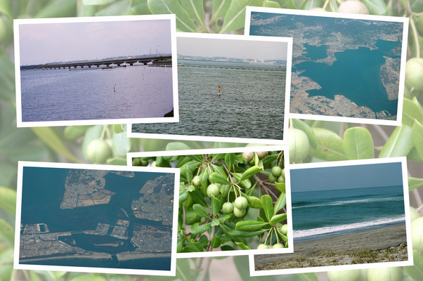 静岡の汽水湖「浜名湖」/癒し憩い画像データベース