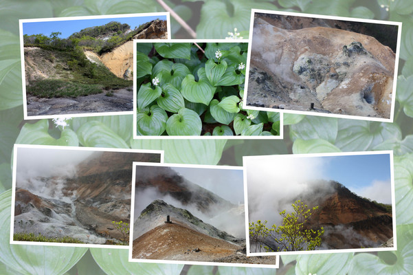 新緑期の登別温泉「新緑期の地獄谷」/癒し憩い画像データベース