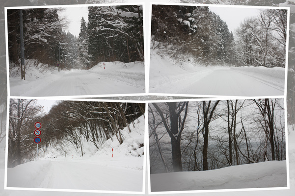 冬・積雪期の田沢湖「湖畔周辺の車道と森」