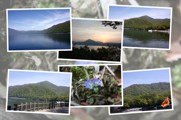 初夏の支笏湖「湖畔の景色」