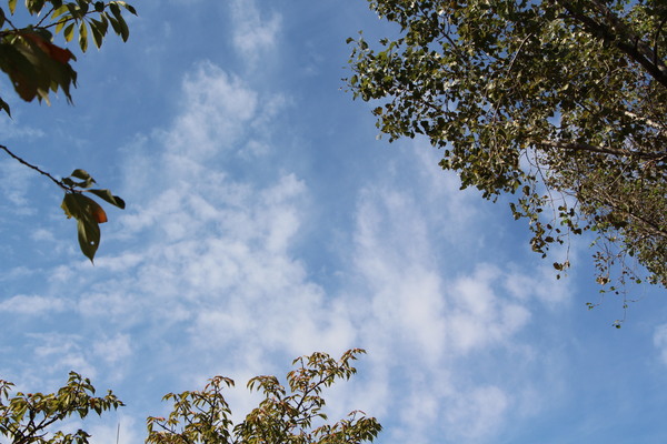 秋の青空と雲/癒し憩い画像データベース