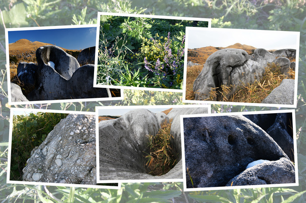 種々の姿の石灰岩
