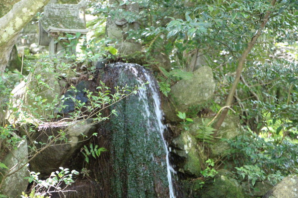 春の雷山千如寺「寺庭の小滝」