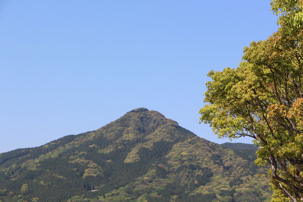春の飯盛山「緑の彩り」/癒し憩い画像データベース