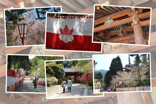 春の醍醐寺「日月門と参道」/癒し憩い画像データベース