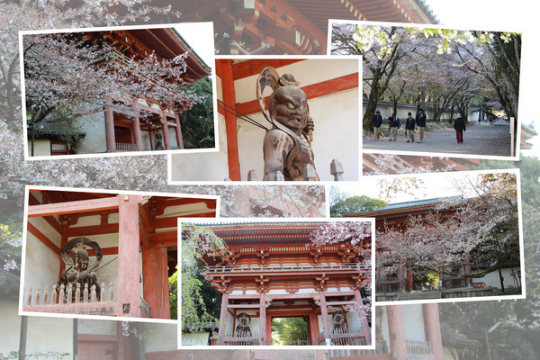 春の醍醐寺「仁王門（西大門）」/癒し憩い画像データベース