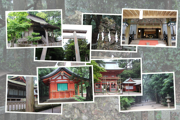 初夏の鹿島神宮/癒し憩い画像データベース
