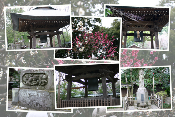 早春の深大寺「鐘楼と周辺」/癒し憩い画像データベース 早春の深大寺「鐘楼と周辺」/癒し憩い画像データベース