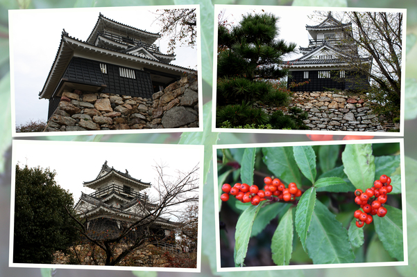 秋の浜松城「天守閣」/癒し憩い画像データベース