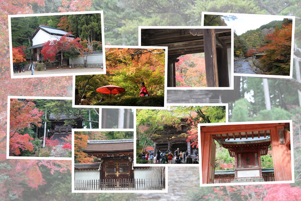 秋の京都・神護寺「参道入口、茶店、楼門、書院、宝蔵、和気公霊廟、鐘楼」/癒し憩い画像データベース