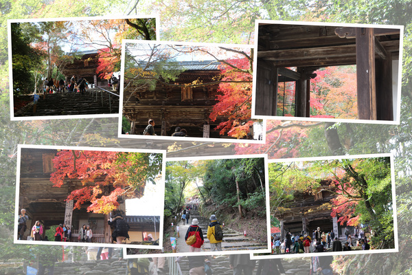 秋の神護寺「楼門と参道の人々」/癒し憩い画像データベース