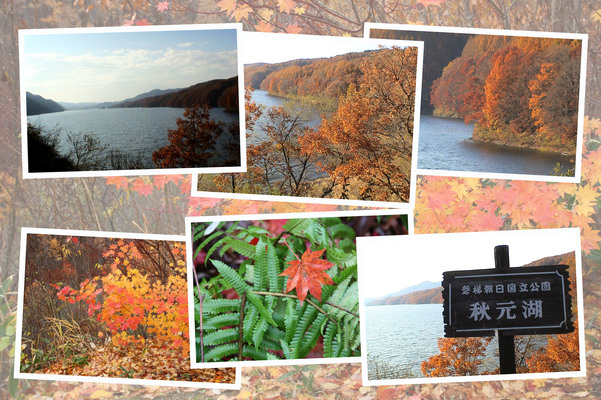 秋の裏磐梯「秋元湖」/癒し憩い画像データベース