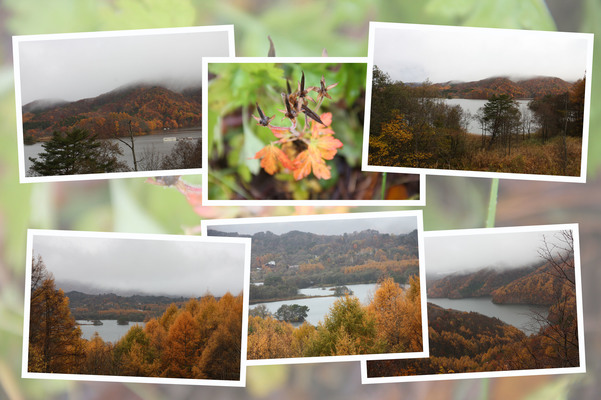 秋の裏磐「小野川湖」/癒し憩い画像データベース