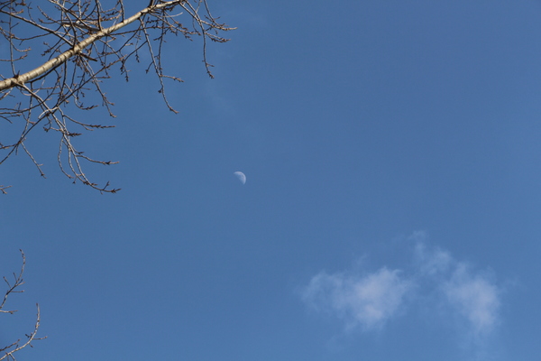 青い空と昼の月/癒し憩い画像データベース