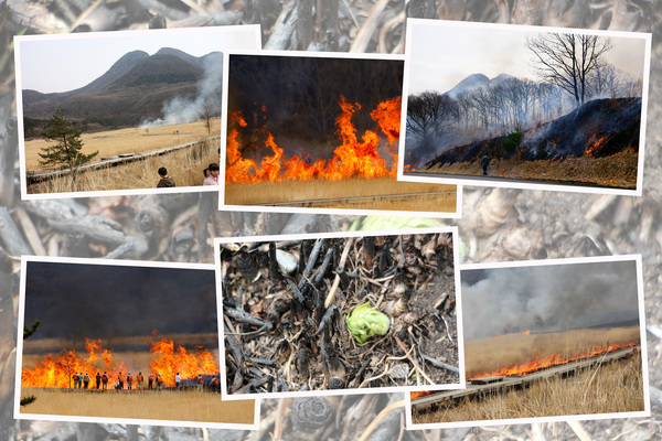春のタデ原湿原「野焼き」/癒し憩い画像データベース