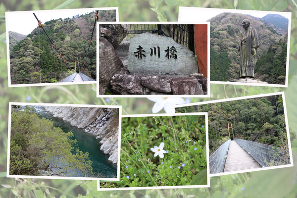 小歩危峡と赤川橋/癒し憩い画像データベース