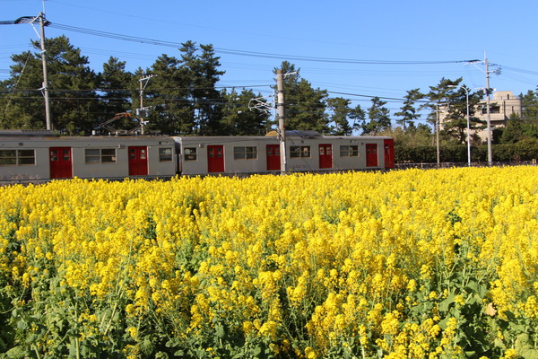 �ڤβ�Ȫ���ż�/�����Ƥ������ǡ����١���