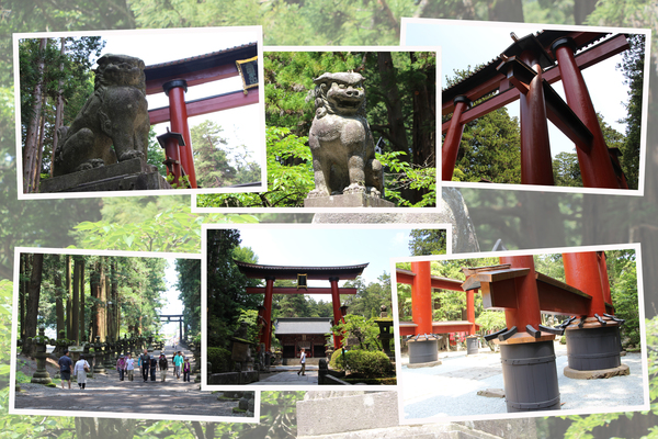 北口本宮富士浅間神社（参道と鳥居）/癒し憩い画像データベース
