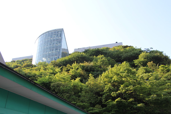 アクロス福岡「ステップガーデンの森」/癒し憩い画像データベース