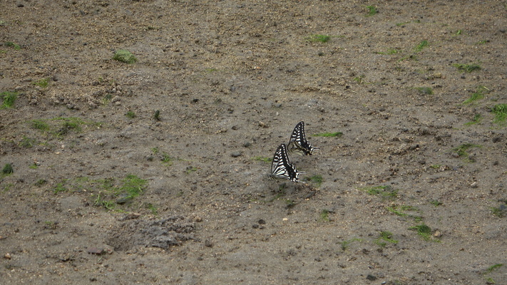 ���ɤ���ĳ����/�����Ƥ������ǡ����١���