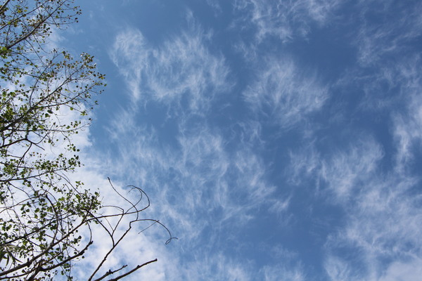 ʡ���ֽ����ȱ���/�����Ƥ������ǡ����١���