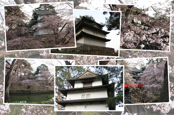 春の弘前城「櫓群」/癒し憩い画像データベース