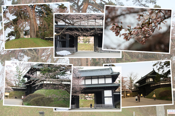 春の弘前城「追手門」/癒し憩い画像データベース