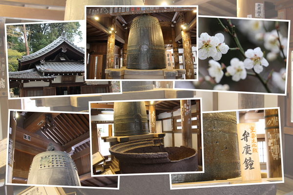 �դλ�������۷�Ʋ���۷ľ��/�����Ƥ������ǡ����١���