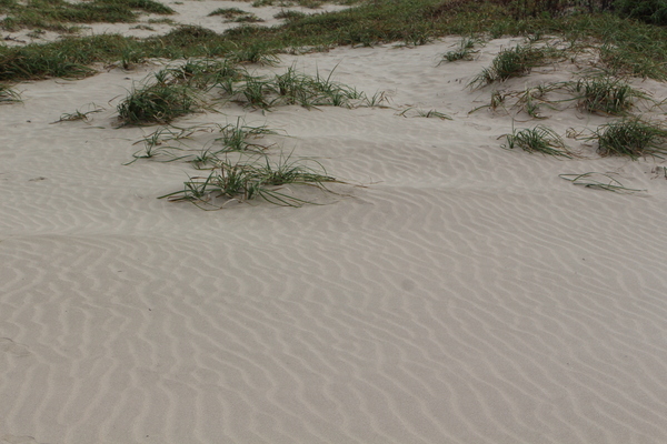 �������ߡֺ��֤ȹ����������/�����Ƥ������ǡ����١���