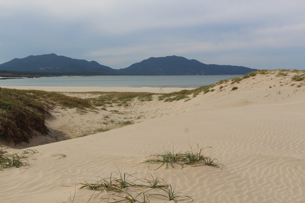 �������ߡֺ��֤Ⱥ��͡�/�����Ƥ������ǡ����١���