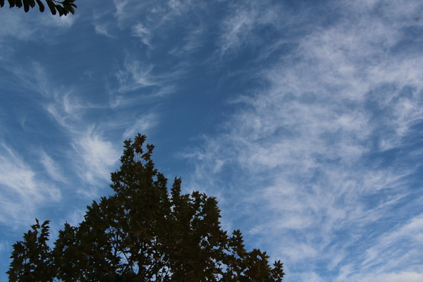 ���α����Ķ�/�����Ƥ������ǡ����١���