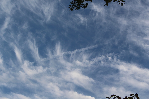 ���α������Ե���/�����Ƥ������ǡ����١���